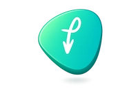 FlashIcon